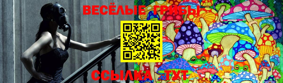 Псилоцибиновые грибы Psilocybe  хочу   Шадринск  Вход с VPN 