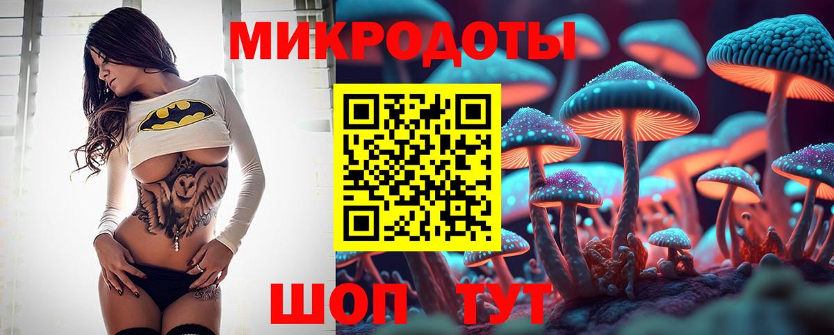 Псилоцибиновые грибы Cubensis Шадринск